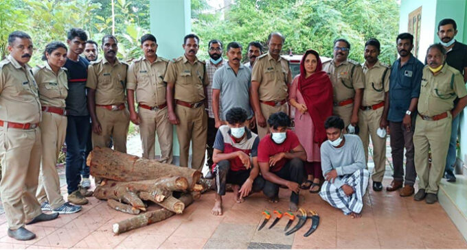 ചന്ദന മരങ്ങൾ മുറിച്ചു കടത്താൻ ശ്രമിച്ച മൂന്നു പേർ പിടിയിൽ
