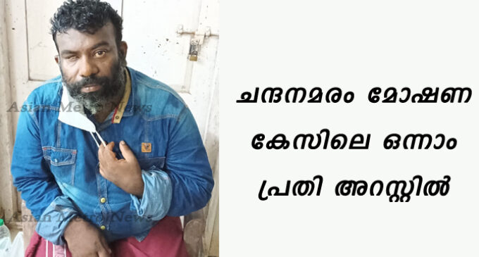 ചന്ദനമരം മോഷണ കേസിലെ ഒന്നാം പ്രതി അറസ്റ്റിൽ