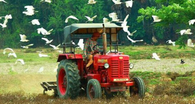 പ്രാദേശിക ഉത്പന്നങ്ങൾ പ്രോത്സാഹിപ്പിക്കാൻ കൃഷി വകുപ്പിന്റെ നാട്ടുപീടിക കണ്ടെയ്നർ